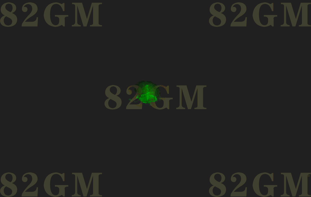 jntx0507-1